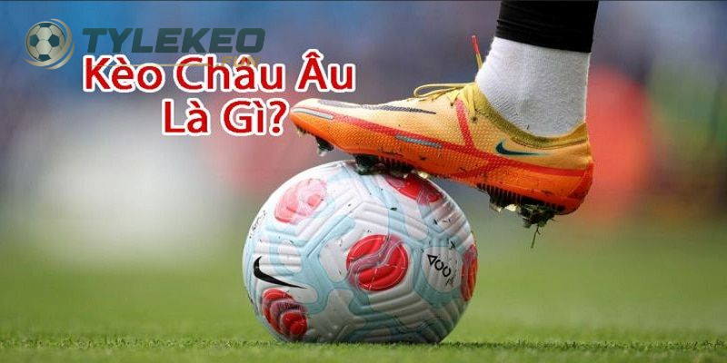 Kèo Châu Âu Là Gì? Cách Đọc Và Cược Kèo 1x2 Siêu Chuẩn 1 Tìm hiểu Kèo Châu Âu là gì một cách chi tiết
