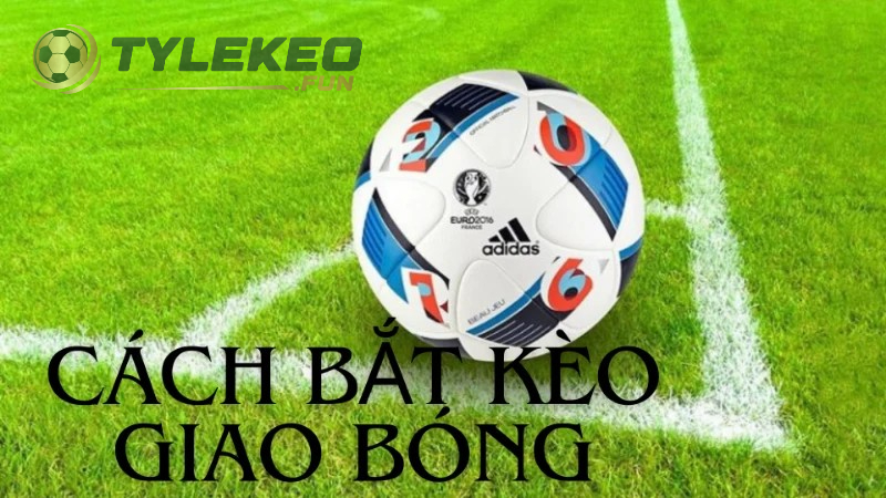 Kinh nghiệm chiến thắng Kèo Giao Bóng được chia sẻ từ cao thủ