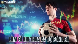 Làm gì khi thua cá độ bóng đá: Hướng dẫn vượt qua thất bại