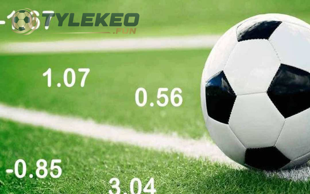 Tỷ lệ Odds Indo (Indo Odds)