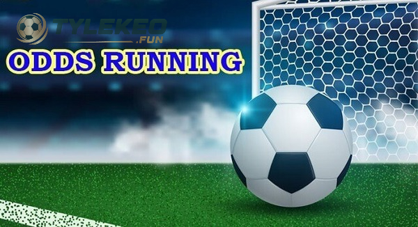 Khi chơi Odds cần trải qua những giai đoạn nào?