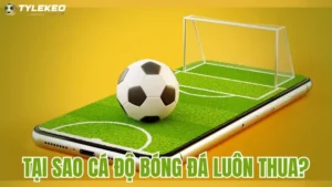 Tại sao cá độ bóng đá luôn thua - Nguyên nhân và bài học