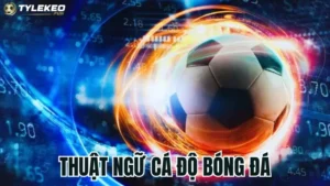 Tìm hiểu thuật ngữ cá độ bóng đá và ý nghĩa chi tiết